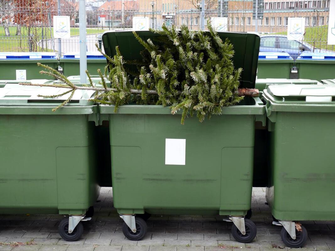 a roller dumpster with tree branch